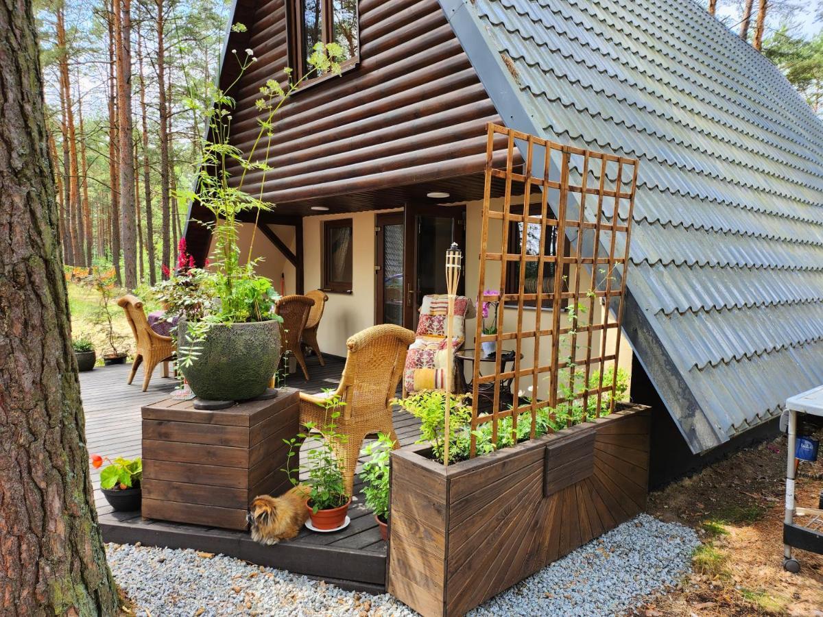 Chalet Tu Sielsko Osiek (Pomerania)