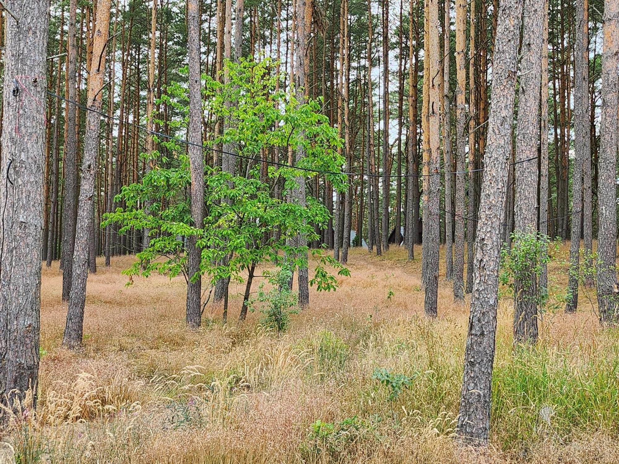 Tu Sielsko * Osiek (Pomerania)